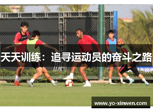 天天训练:追寻运动员的奋斗之路 天天训练:追寻运动员的奋斗之路
